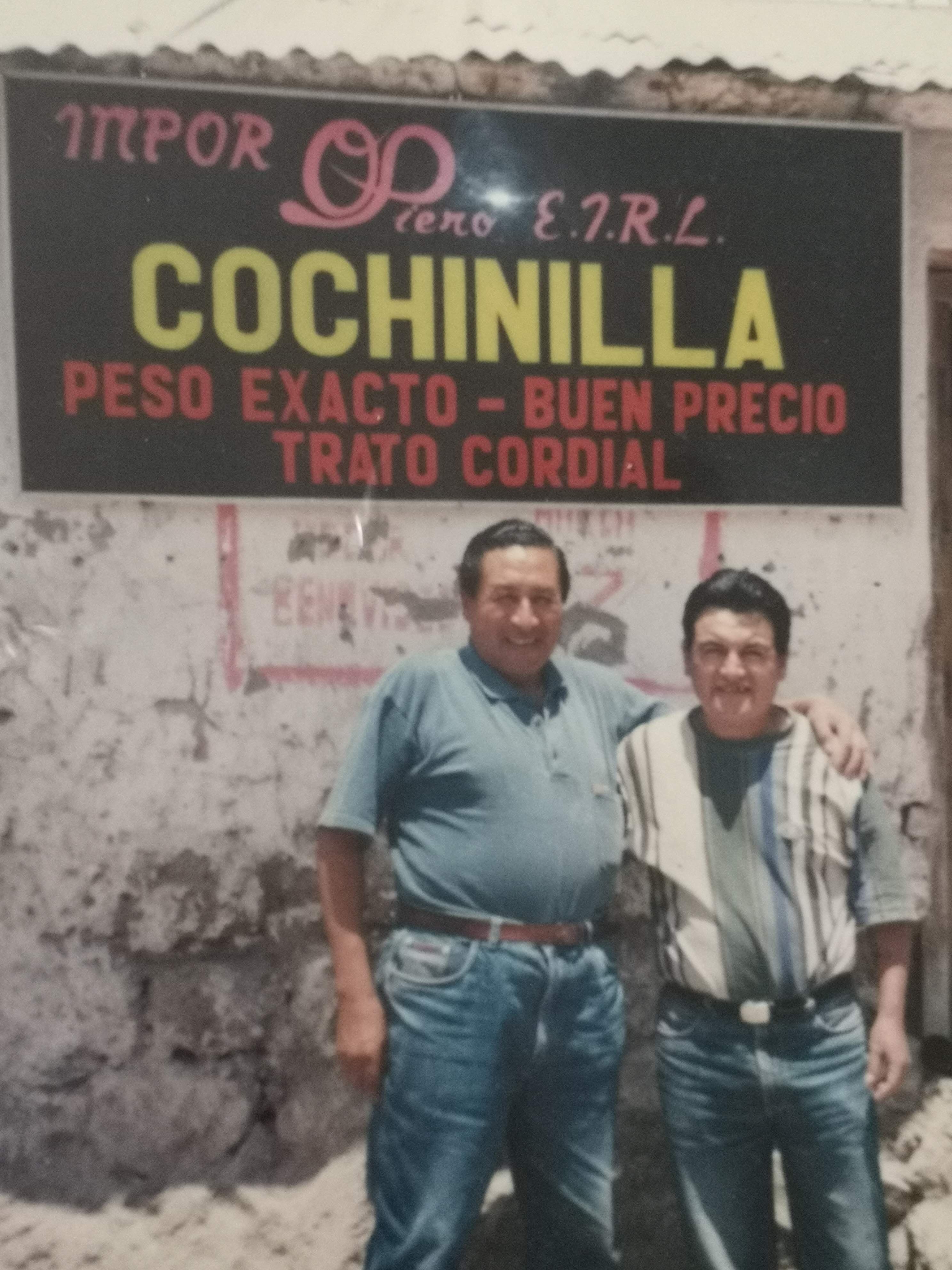 Historia 1995